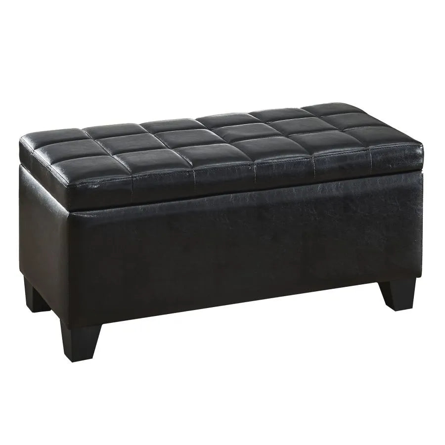 Frank Rectangular Storage Ottoman Bench In Dazzling Black Finish